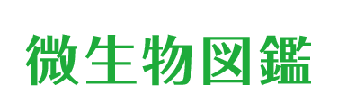 下水道施設親子見学ツアー